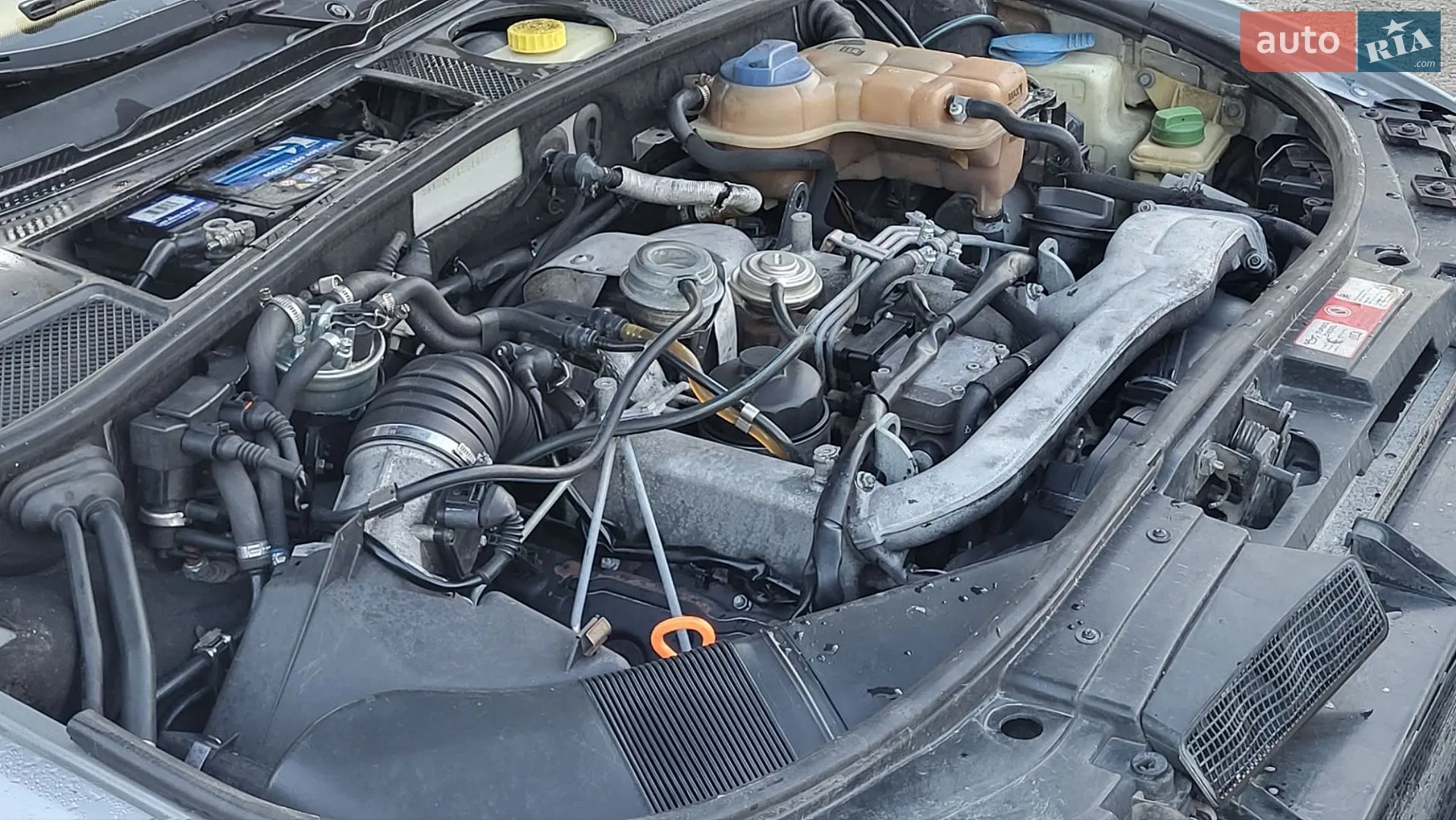 Audi A6 2003 VIN WAUZZZ4B64N002886 фото оголошення 20 з 21