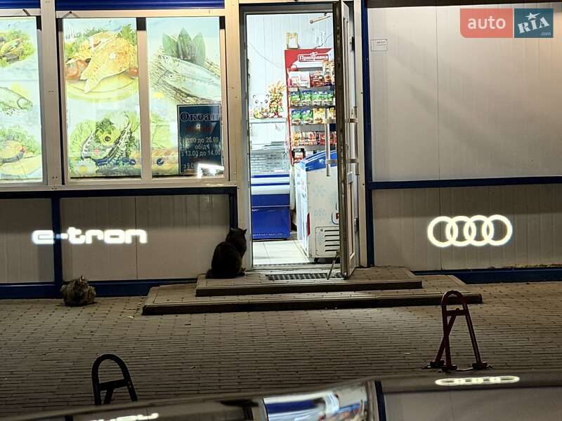 Внедорожник / Кроссовер Audi e-tron S Sportback 2021 в Киеве фото 73 Внедорожник / Кроссовер Audi e-tron S Sportback 2021 в Киеве
