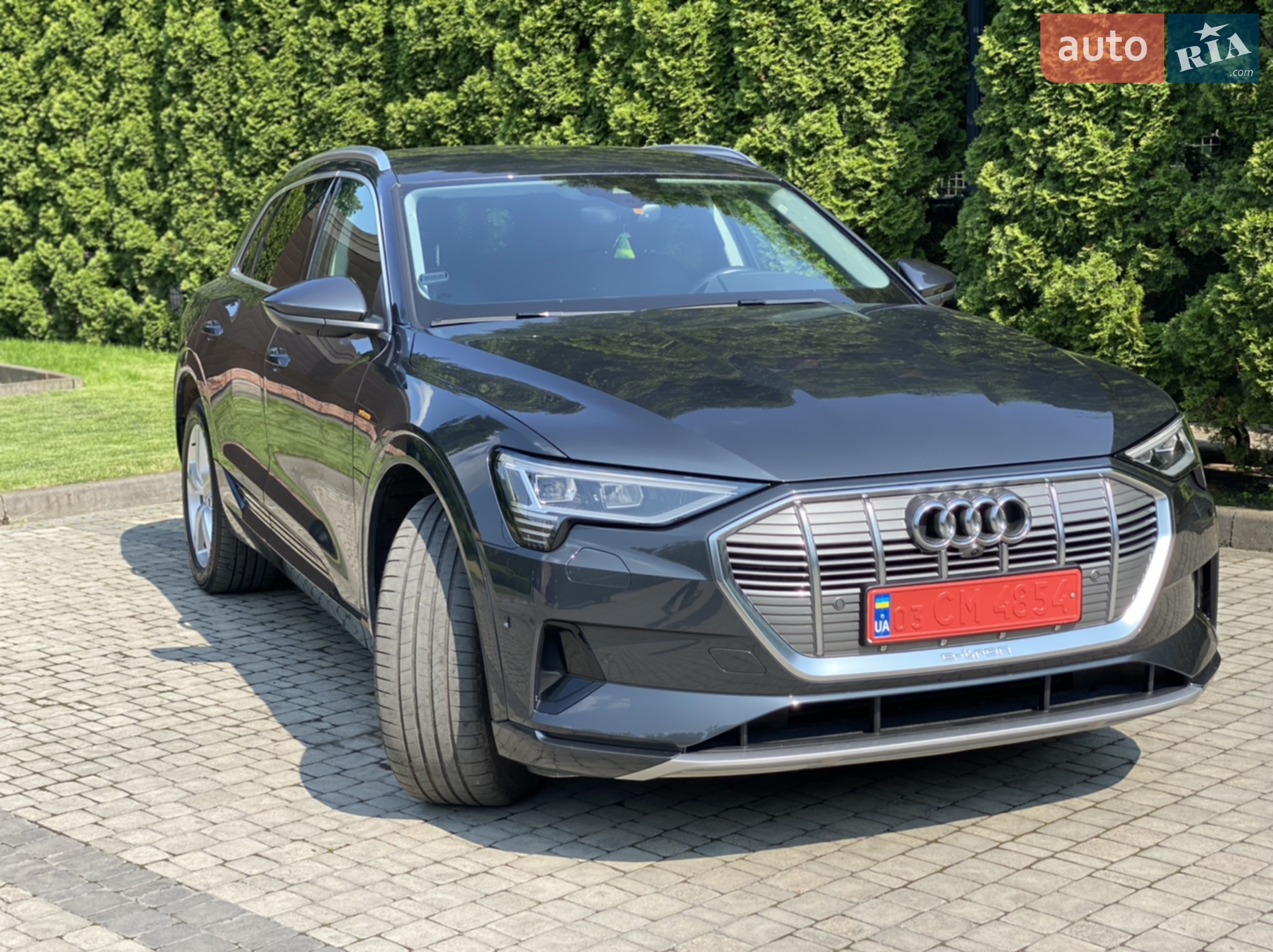 2019 Audi e-tron - фото 1