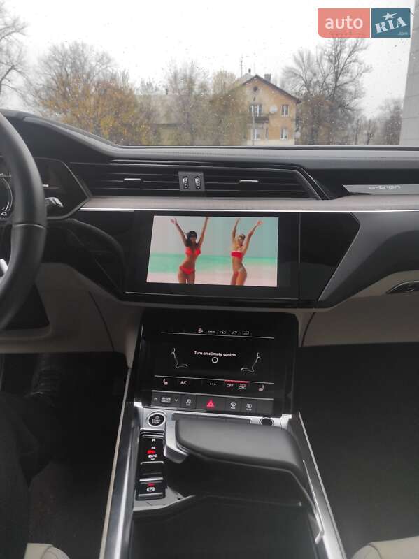 Внедорожник / Кроссовер Audi e-tron 2022 в Каменском фото 38 Внедорожник / Кроссовер Audi e-tron 2022 в Каменском