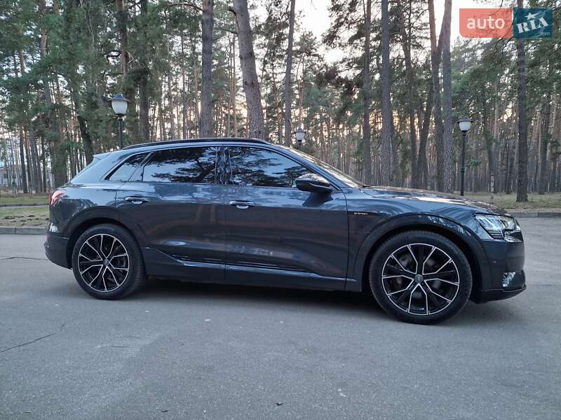 Внедорожник / Кроссовер Audi e-tron 2019 в Чернигове фото 4 Внедорожник / Кроссовер Audi e-tron 2019 в Чернигове
