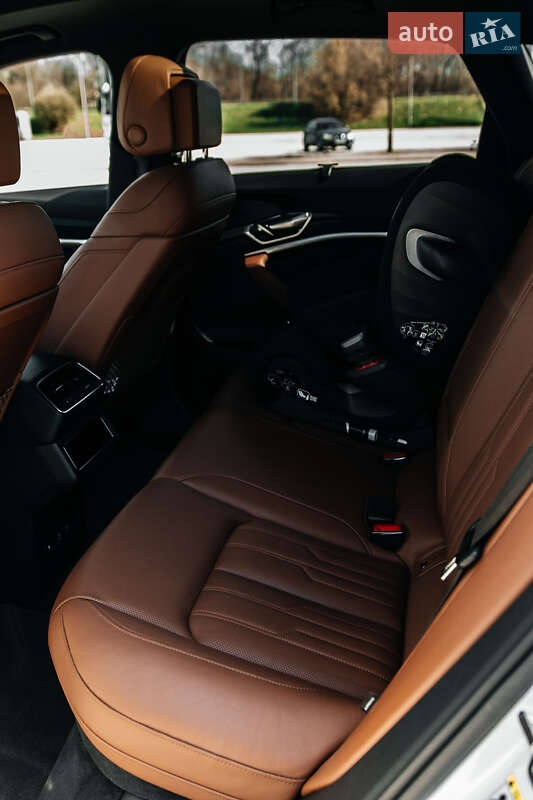 Внедорожник / Кроссовер Audi e-tron 2019 в Киеве фото 83 Внедорожник / Кроссовер Audi e-tron 2019 в Киеве