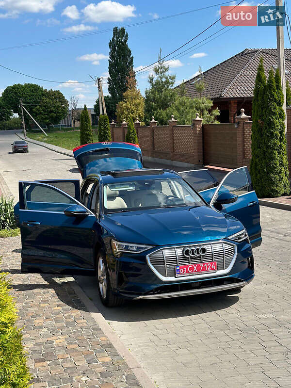 Внедорожник / Кроссовер Audi e-tron 2019 в Горохове фото 8 Внедорожник / Кроссовер Audi e-tron 2019 в Горохове