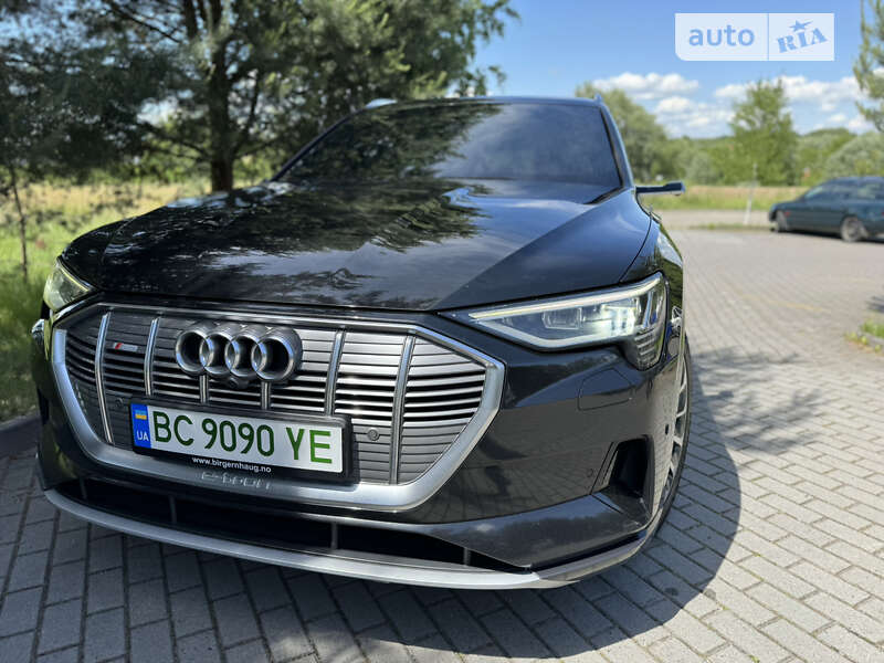 Внедорожник / Кроссовер Audi e-tron 2019 в Дрогобыче фото 46 Внедорожник / Кроссовер Audi e-tron 2019 в Дрогобыче