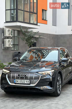 Внедорожник / Кроссовер Audi e-tron 2020 в 