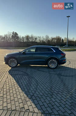 Внедорожник / Кроссовер Audi e-tron 2019 в 