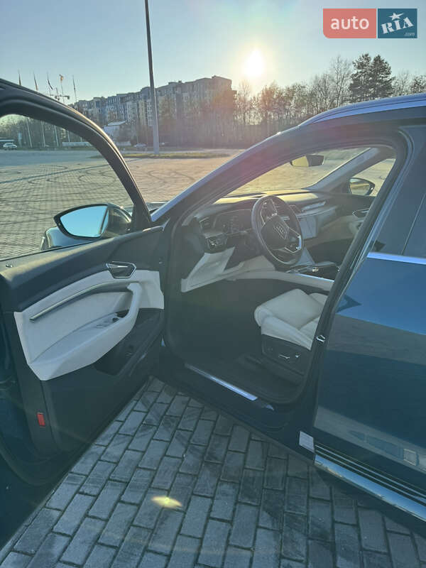 Позашляховик / Кросовер Audi e-tron 2019 в Львові фото 39 Позашляховик / Кросовер Audi e-tron 2019 в Львові