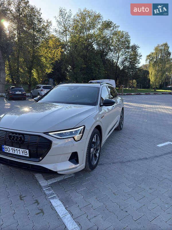 Внедорожник / Кроссовер Audi e-tron 2020 в Бережанах