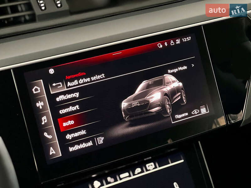 Внедорожник / Кроссовер Audi e-tron 2022 в Днепре фото 52 Внедорожник / Кроссовер Audi e-tron 2022 в Днепре