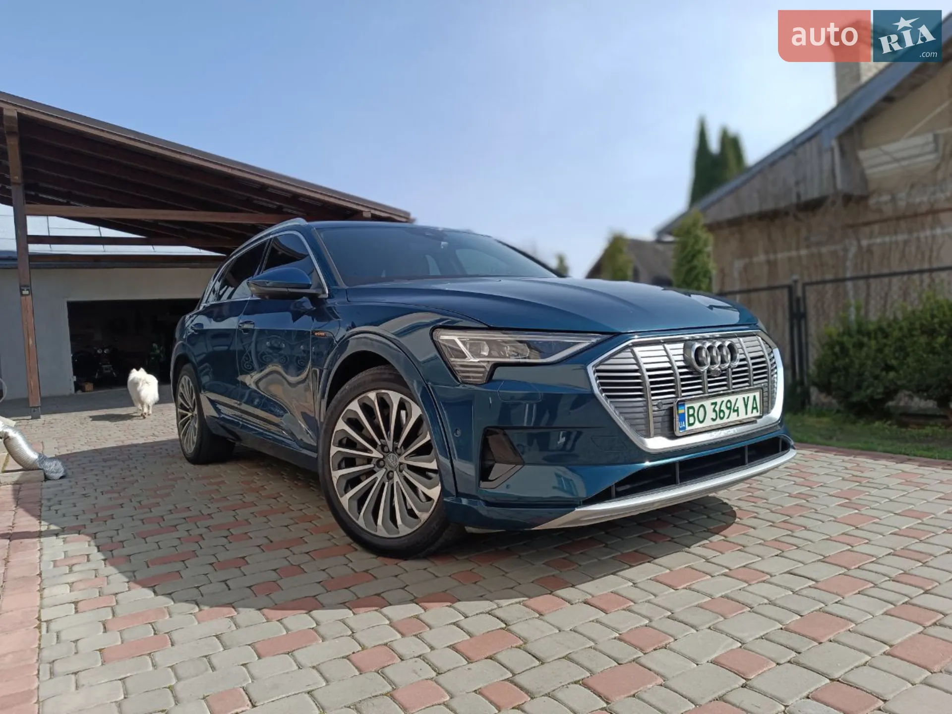 2019 Audi e-tron - мініатюра 149
