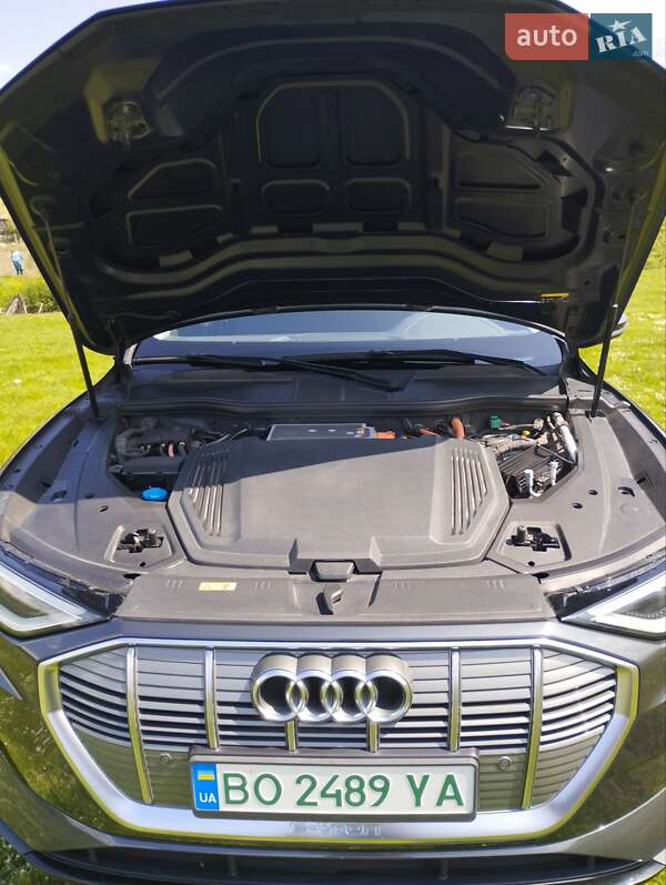 Внедорожник / Кроссовер Audi e-tron 2020 в Тернополе фото 11 Внедорожник / Кроссовер Audi e-tron 2020 в Тернополе