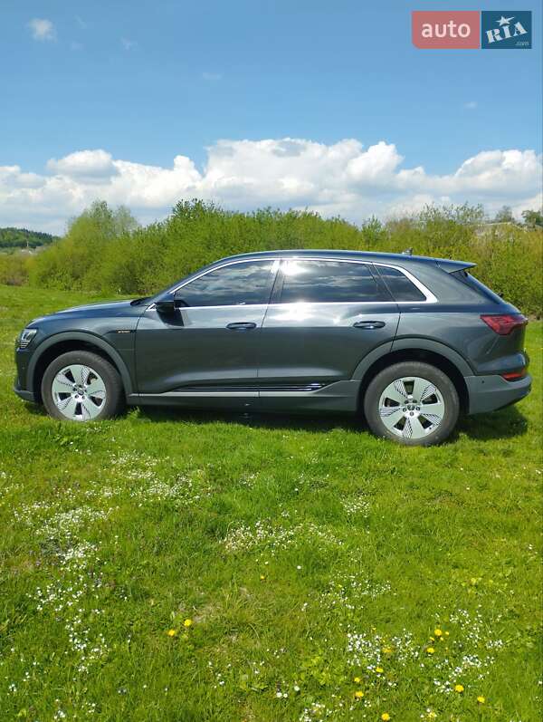 Внедорожник / Кроссовер Audi e-tron 2020 в Тернополе фото 14 Внедорожник / Кроссовер Audi e-tron 2020 в Тернополе