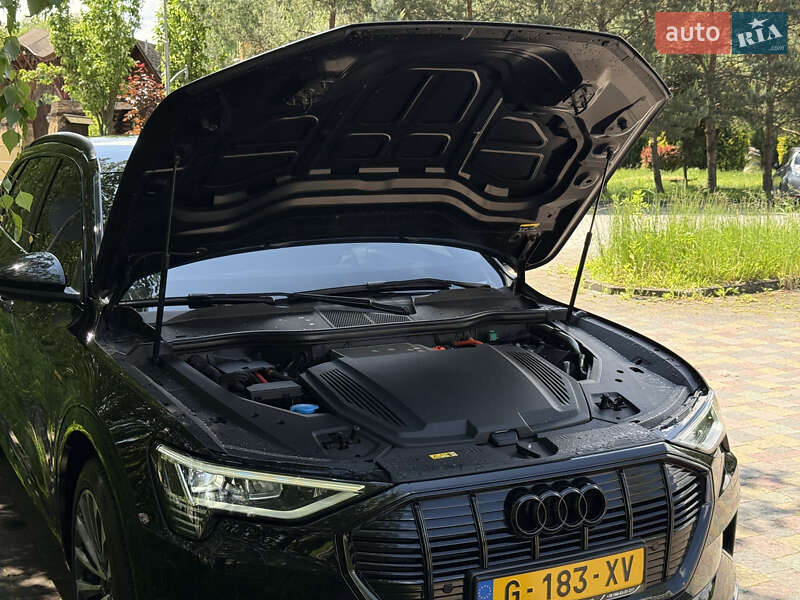 Внедорожник / Кроссовер Audi e-tron 2019 в Дрогобыче фото 41 Внедорожник / Кроссовер Audi e-tron 2019 в Дрогобыче