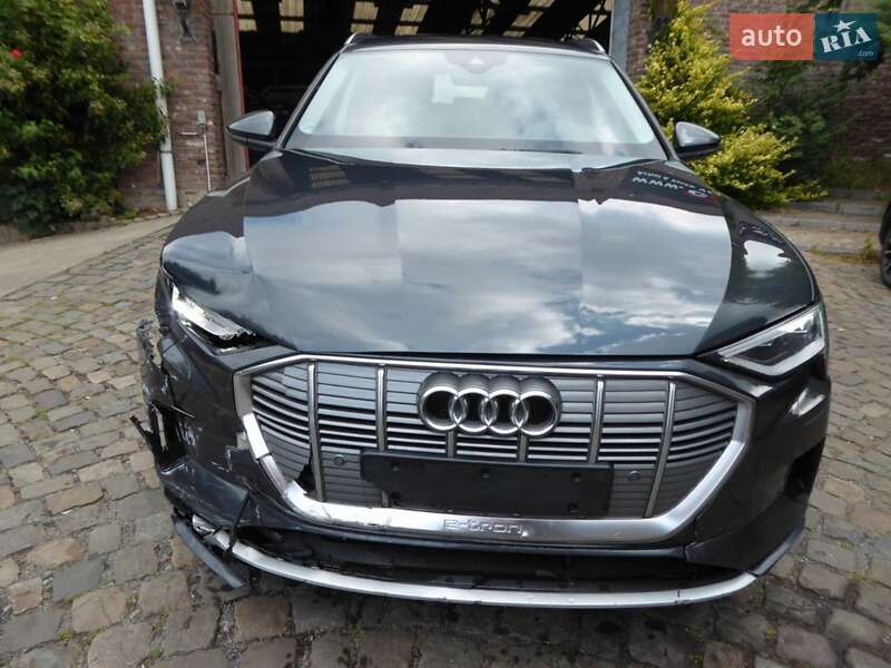 Внедорожник / Кроссовер Audi e-tron 2019 в Шептицькому
