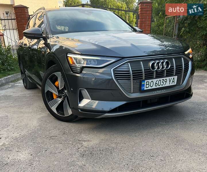Внедорожник / Кроссовер Audi e-tron 2019 в Бучаче фото 6 Внедорожник / Кроссовер Audi e-tron 2019 в Бучаче