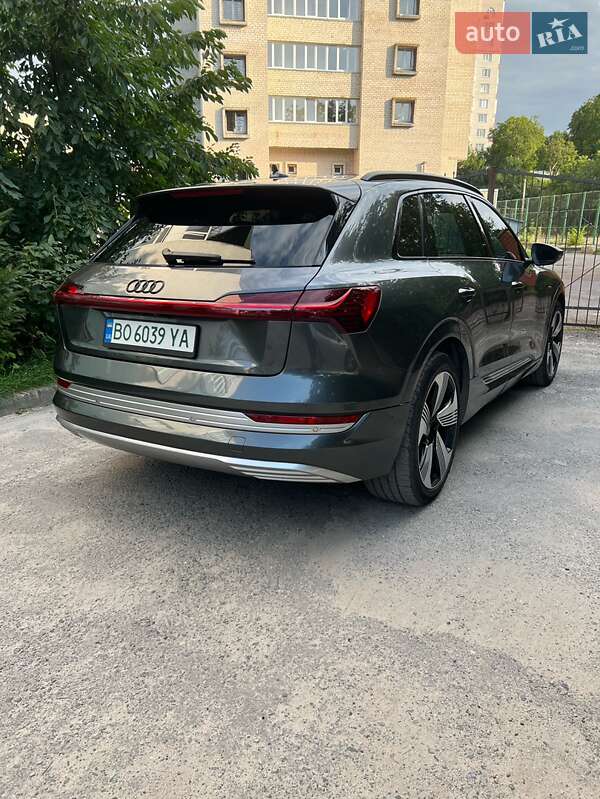 Внедорожник / Кроссовер Audi e-tron 2019 в Бучаче фото 19 Внедорожник / Кроссовер Audi e-tron 2019 в Бучаче