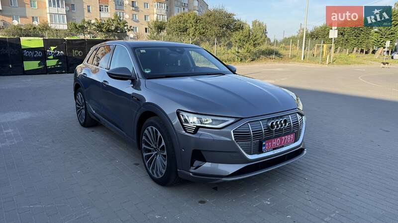 Внедорожник / Кроссовер Audi e-tron 2020 в Шепетовке фото 5 Внедорожник / Кроссовер Audi e-tron 2020 в Шепетовке
