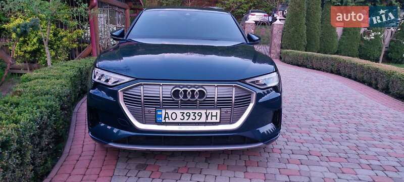 Внедорожник / Кроссовер Audi e-tron 2019 в Тячеве фото 9 Внедорожник / Кроссовер Audi e-tron 2019 в Тячеве