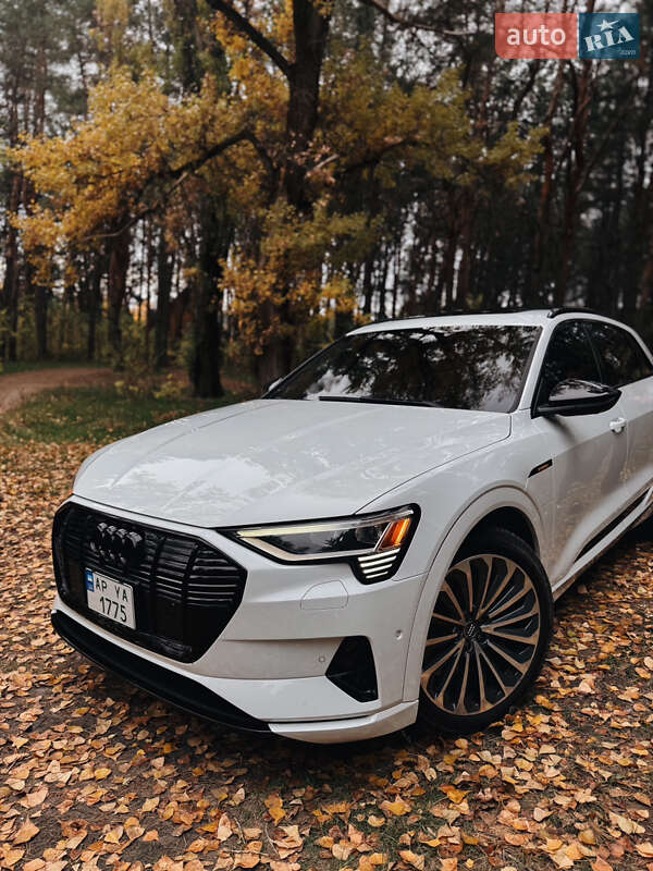Внедорожник / Кроссовер Audi e-tron 2019 в Запорожье фото 10 Внедорожник / Кроссовер Audi e-tron 2019 в Запорожье