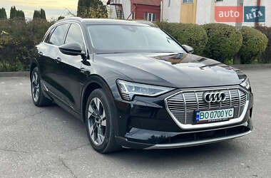 Позашляховик / Кросовер Audi e-tron 2018 в Тернополі