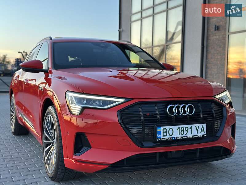 Позашляховик / Кросовер Audi e-tron 2019 в Тернополі фото 33 Позашляховик / Кросовер Audi e-tron 2019 в Тернополі