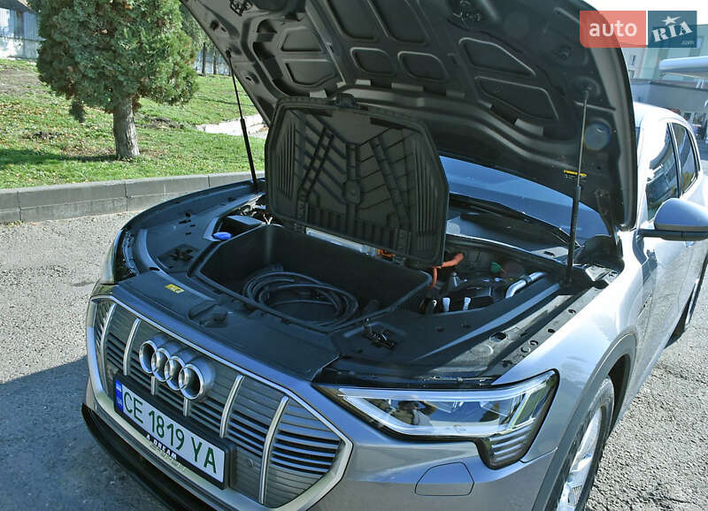 Внедорожник / Кроссовер Audi e-tron 2021 в Черновцах фото 15 Внедорожник / Кроссовер Audi e-tron 2021 в Черновцах