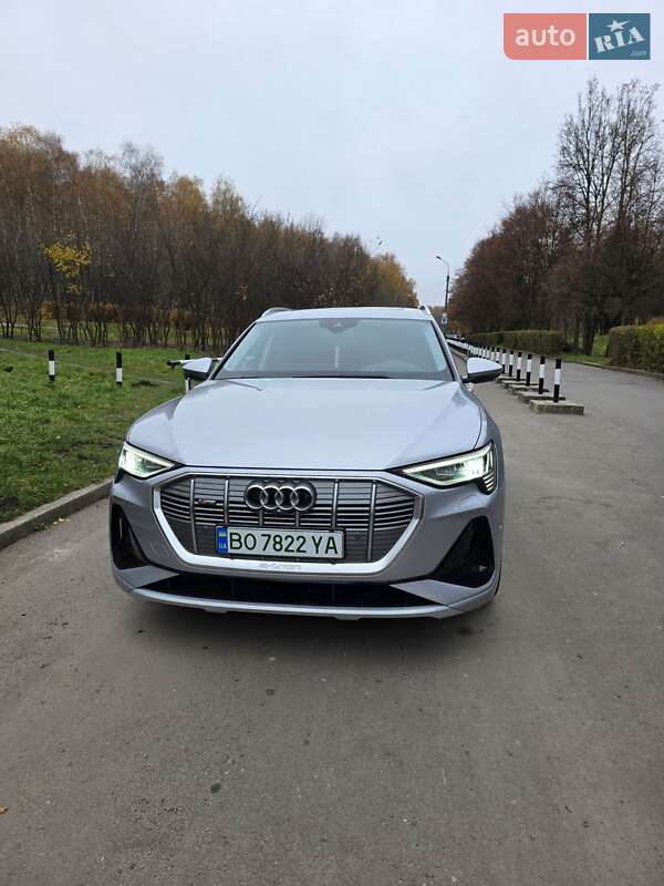 Внедорожник / Кроссовер Audi e-tron 2020 в Тернополе фото 4 Внедорожник / Кроссовер Audi e-tron 2020 в Тернополе