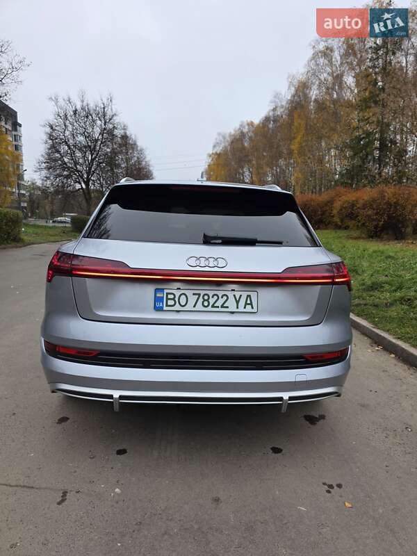 Внедорожник / Кроссовер Audi e-tron 2020 в Тернополе фото 12 Внедорожник / Кроссовер Audi e-tron 2020 в Тернополе