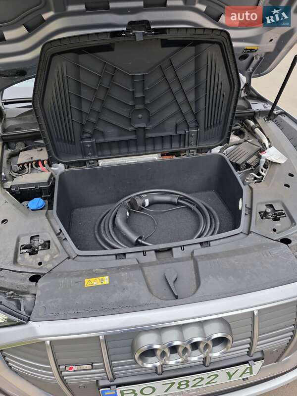 Внедорожник / Кроссовер Audi e-tron 2020 в Тернополе фото 21 Внедорожник / Кроссовер Audi e-tron 2020 в Тернополе