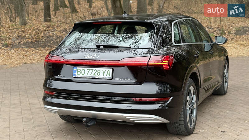 Внедорожник / Кроссовер Audi e-tron 2020 в Тернополе фото 18 Внедорожник / Кроссовер Audi e-tron 2020 в Тернополе