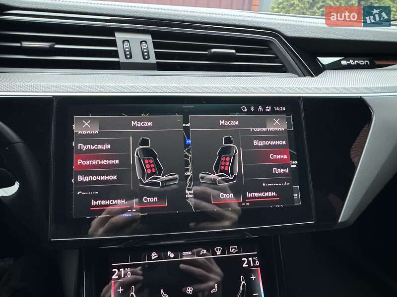 Внедорожник / Кроссовер Audi e-tron 2021 в Киеве фото 58 Внедорожник / Кроссовер Audi e-tron 2021 в Киеве