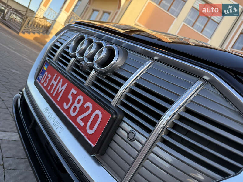 Внедорожник / Кроссовер Audi e-tron 2020 в Дрогобыче фото 33 Внедорожник / Кроссовер Audi e-tron 2020 в Дрогобыче