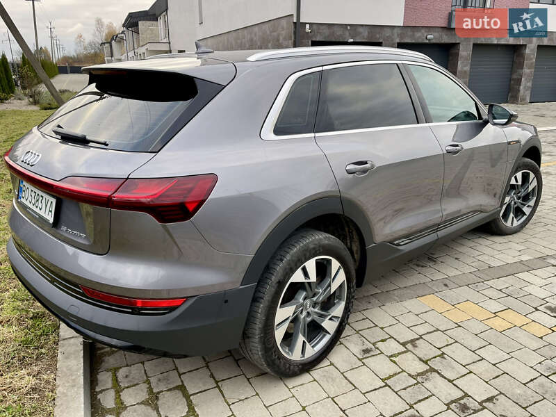 Позашляховик / Кросовер Audi e-tron 2019 в Дрогобичі фото 4 Позашляховик / Кросовер Audi e-tron 2019 в Дрогобичі