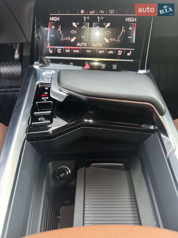 Внедорожник / Кроссовер Audi e-tron 2019 в Дрогобыче фото 23 Внедорожник / Кроссовер Audi e-tron 2019 в Дрогобыче