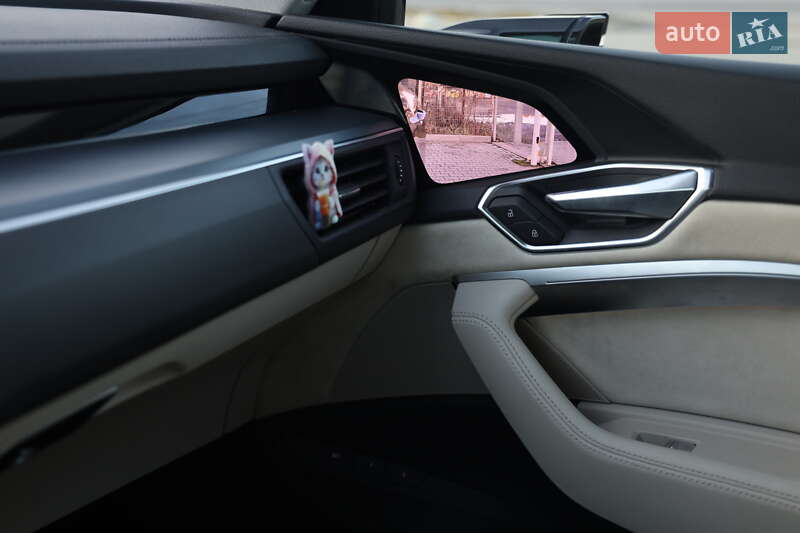 Внедорожник / Кроссовер Audi e-tron 2019 в Луцке фото 12 Внедорожник / Кроссовер Audi e-tron 2019 в Луцке