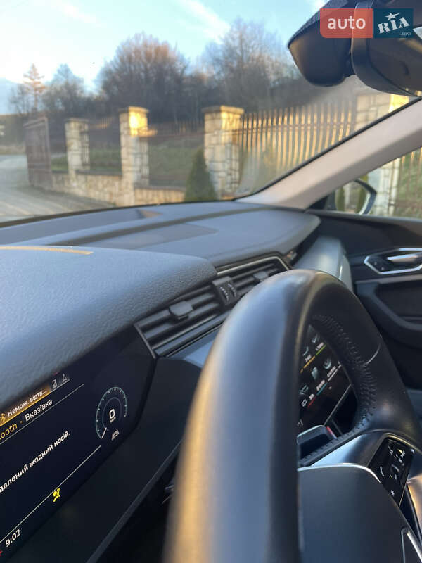 Внедорожник / Кроссовер Audi e-tron 2020 в Самборе фото 42 Внедорожник / Кроссовер Audi e-tron 2020 в Самборе