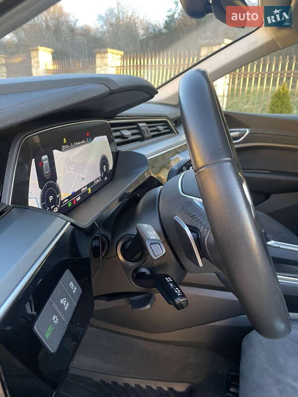 Внедорожник / Кроссовер Audi e-tron 2020 в Самборе фото 44 Внедорожник / Кроссовер Audi e-tron 2020 в Самборе