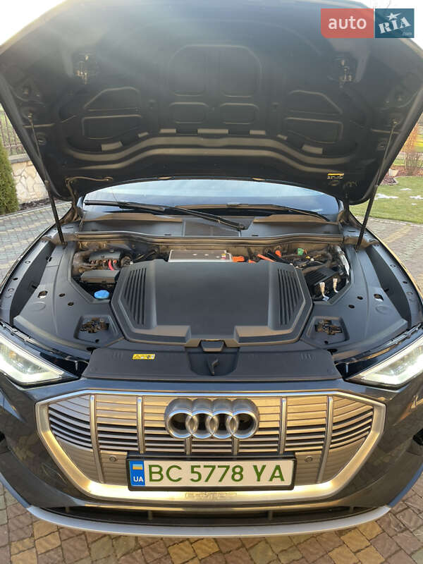 Внедорожник / Кроссовер Audi e-tron 2020 в Самборе фото 53 Внедорожник / Кроссовер Audi e-tron 2020 в Самборе