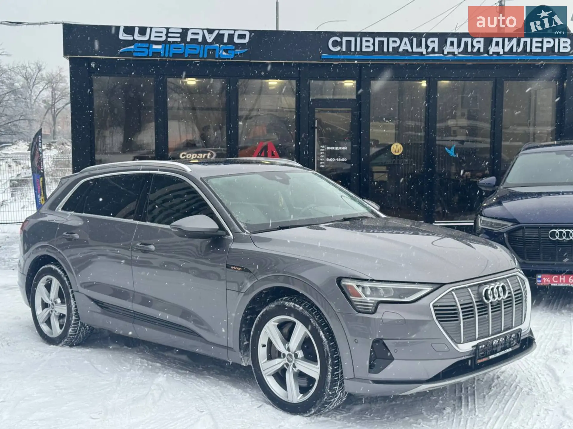 2019 Audi e-tron - фото 1