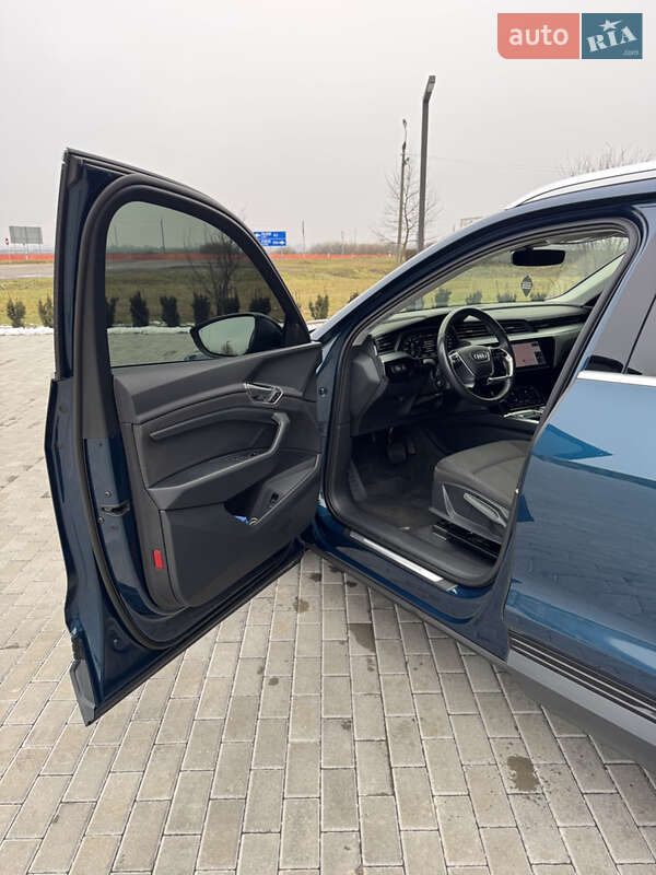Внедорожник / Кроссовер Audi e-tron 2019 в Буске фото 7 Внедорожник / Кроссовер Audi e-tron 2019 в Буске