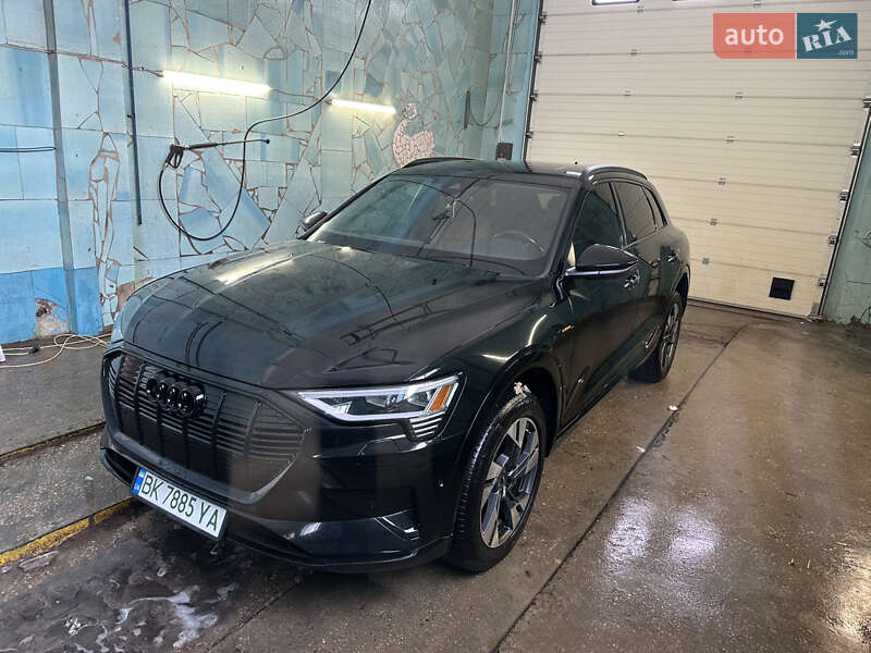 Внедорожник / Кроссовер Audi e-tron 2022 в Сарнах фото 17 Внедорожник / Кроссовер Audi e-tron 2022 в Сарнах