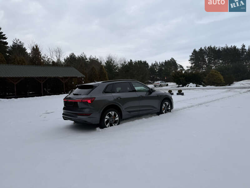 Внедорожник / Кроссовер Audi e-tron 2020 в Львове фото 10 Внедорожник / Кроссовер Audi e-tron 2020 в Львове