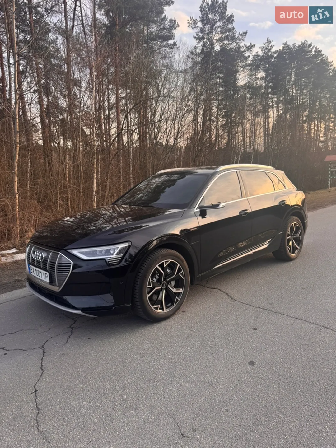 2019 Audi e-tron - фото 1