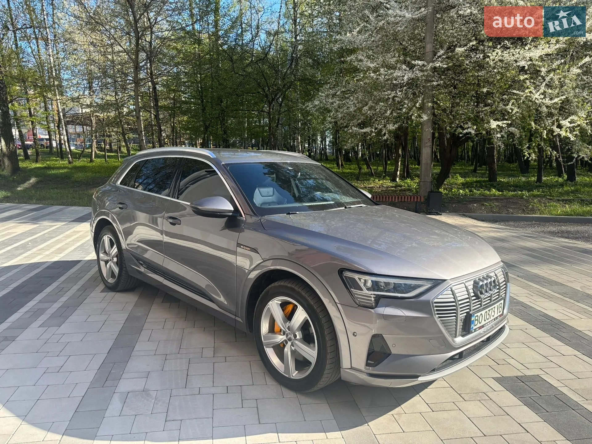 2019 Audi e-tron - мініатюра 5