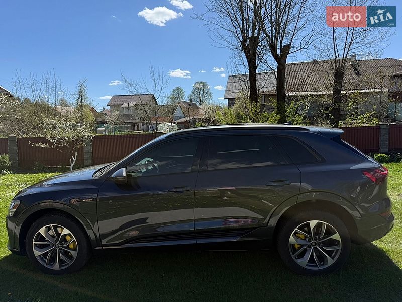 Внедорожник / Кроссовер Audi e-tron 2020 в Ивано-Франковске