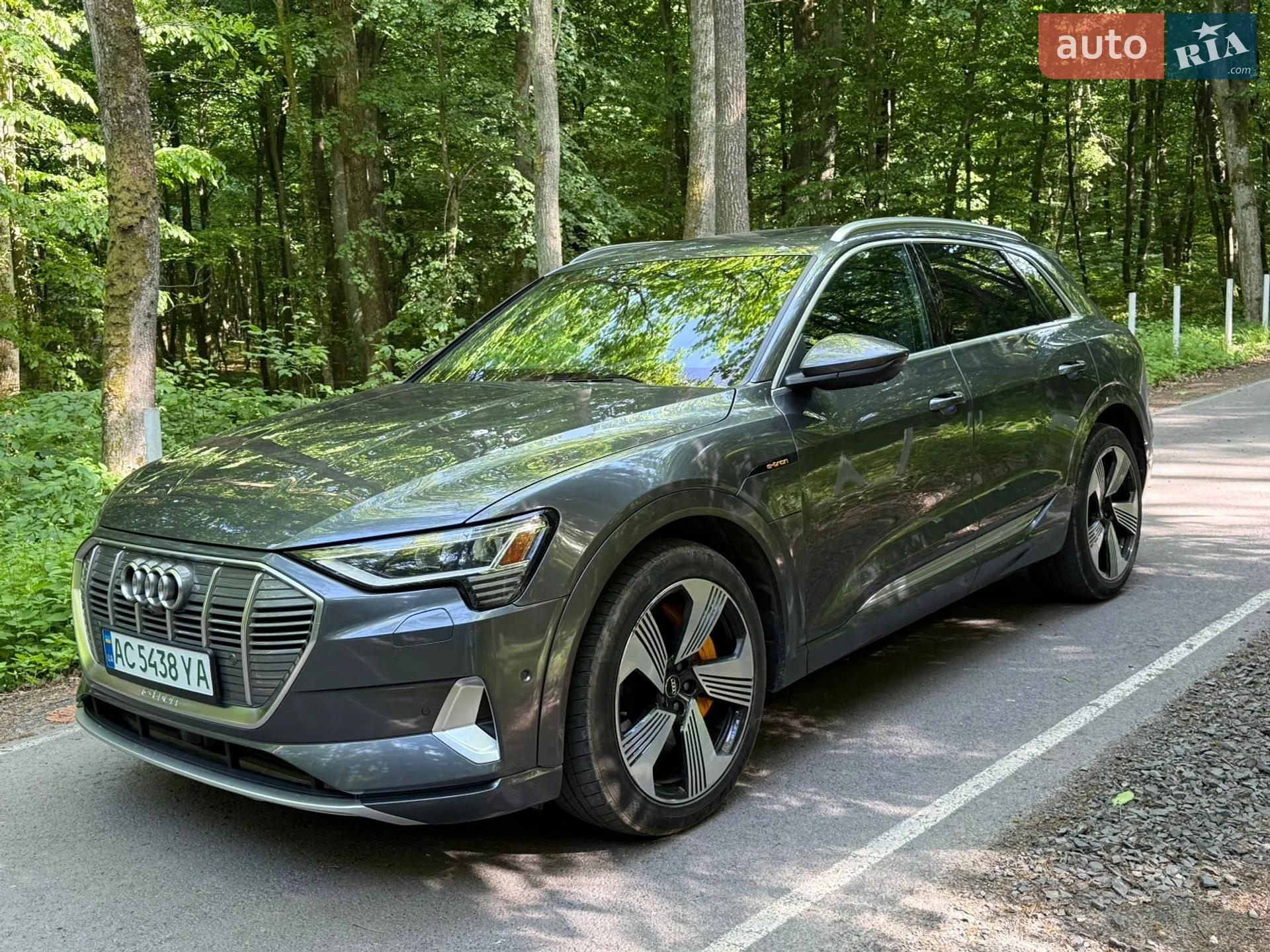 2019 Audi e-tron - фото 1
