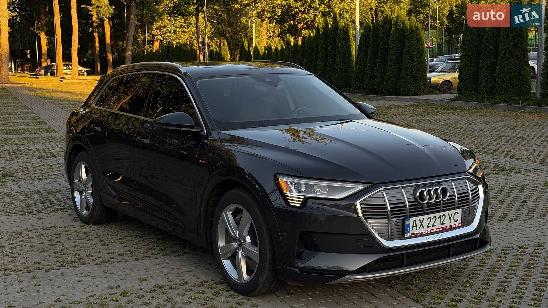 2019 Audi e-tron - мініатюра 5
