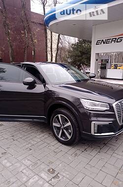 Внедорожник / Кроссовер Audi Q2L e-tron 2021 в Каменском