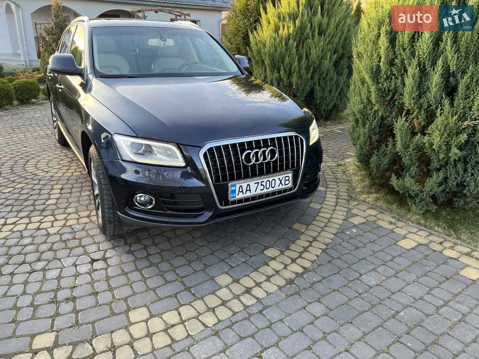 2013 Audi Q5 - мініатюра 2