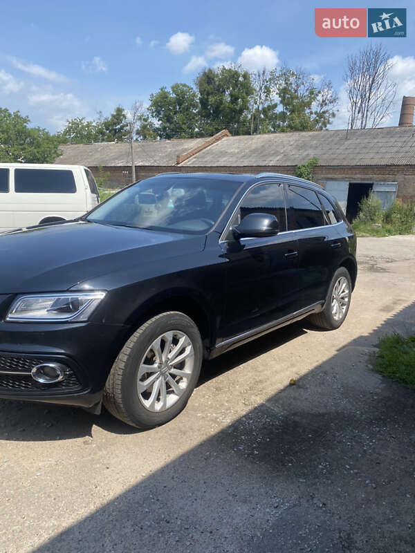 Внедорожник / Кроссовер Audi Q5 2013 в Житомире фото 4 Внедорожник / Кроссовер Audi Q5 2013 в Житомире